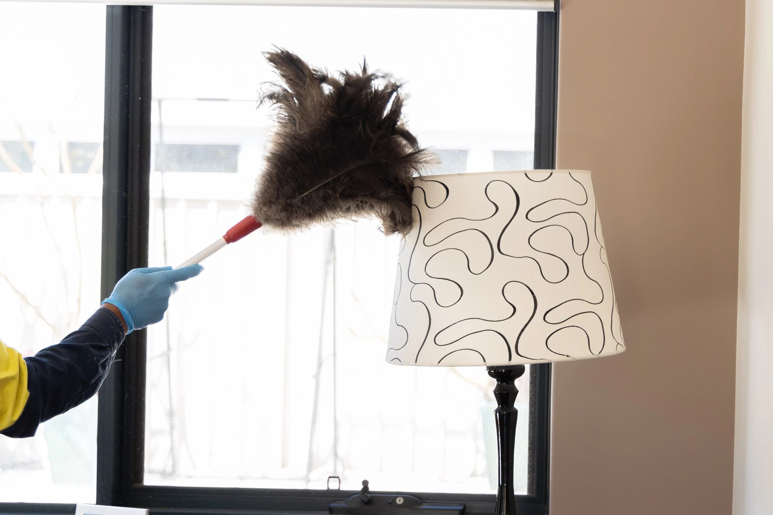 Careful dusting of home surfaces and decor.